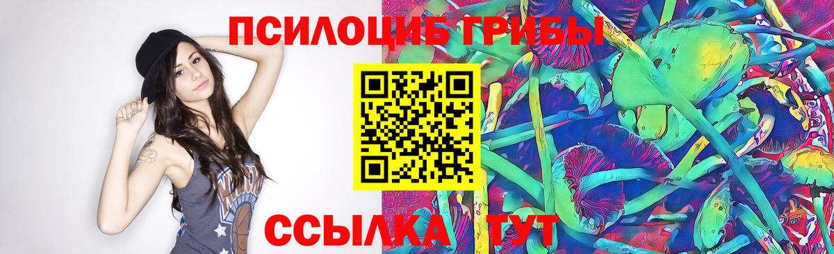 Мелеуз  Псилоцибиновые грибы ЛСД  Вход с VPN  Галлюциногенные грибы прущие грибы 